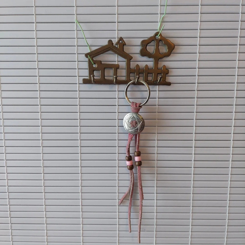Vintage Brass Wall Hooks Home Key Hanger